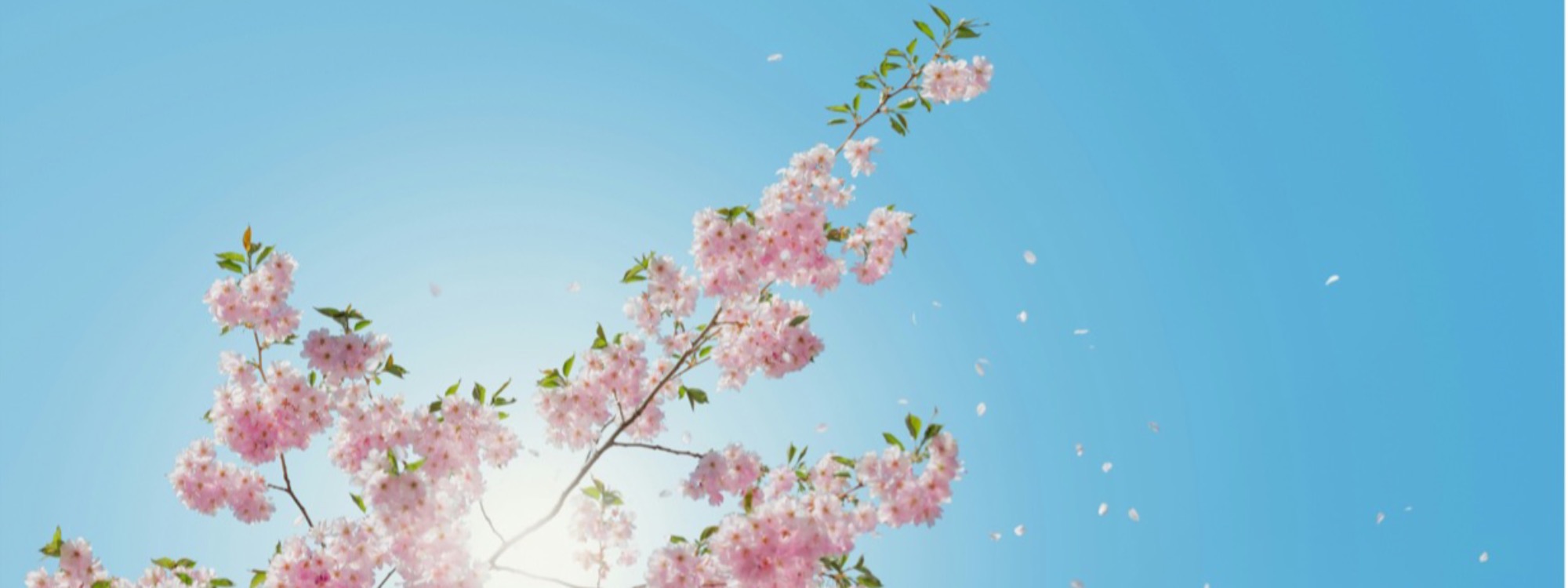 MOTHER'S DAY SERVICE*10am 15th March Christ Church Centre Holmer Green