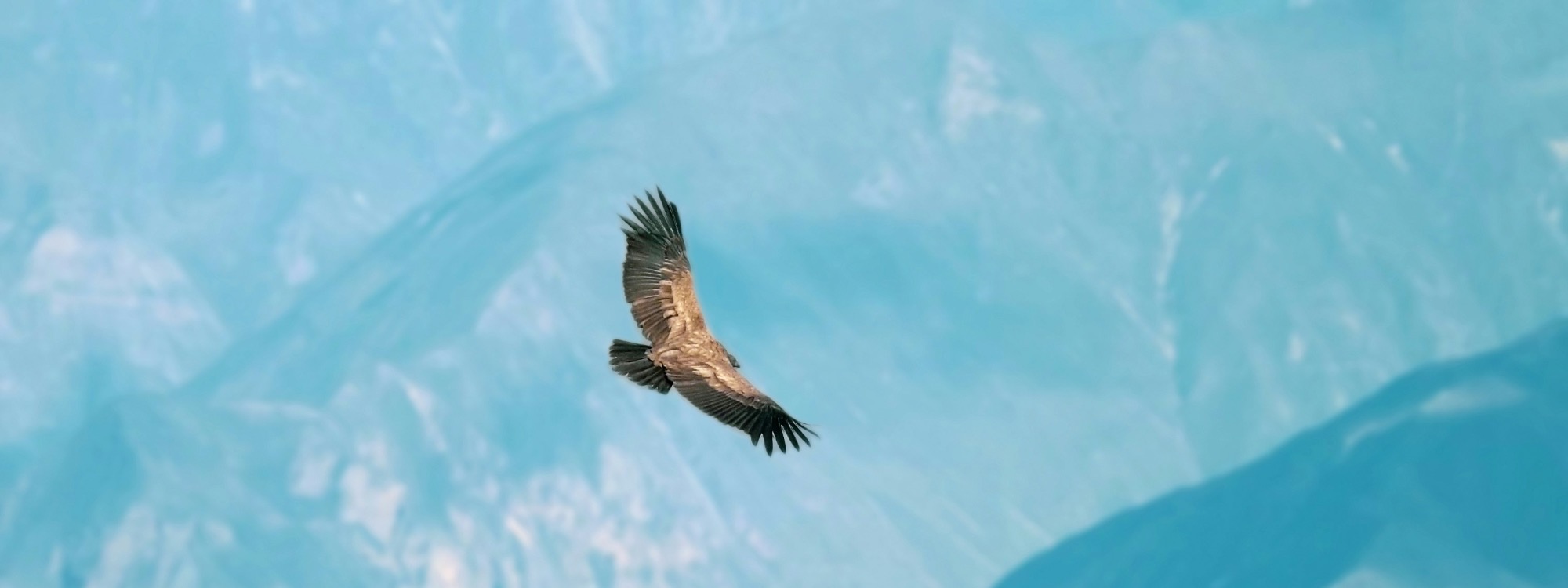 God's Word*Redeeming Freedom*Listen Here